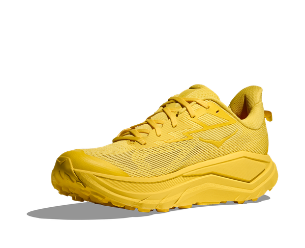 RunFree product image 3