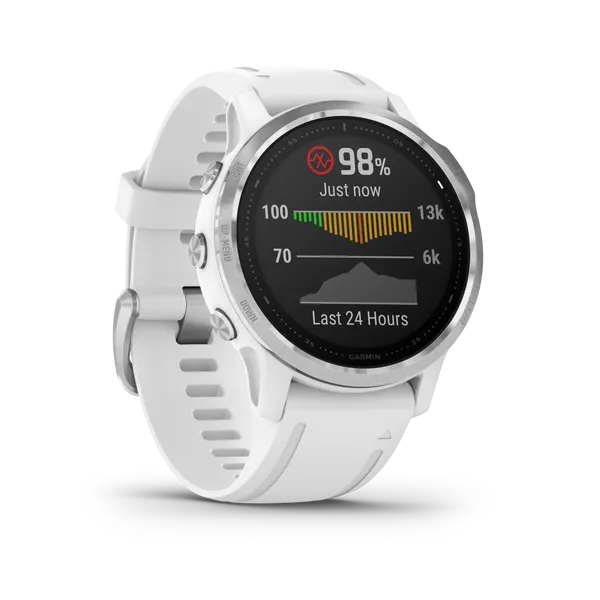 FENIX 6S